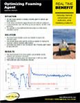 APP 24 OPTIMIZING FOAMING AGENT